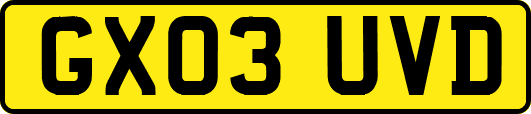 GX03UVD