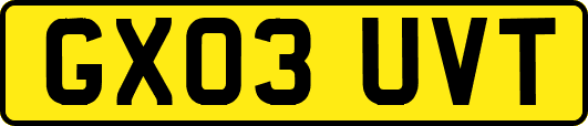 GX03UVT