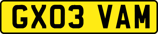 GX03VAM
