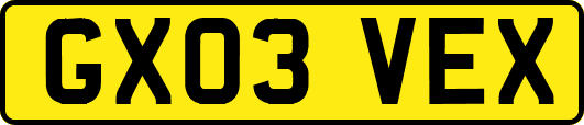 GX03VEX
