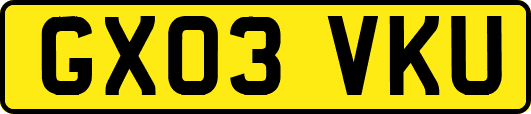 GX03VKU