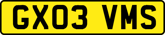 GX03VMS