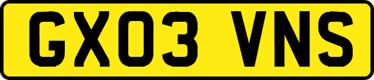 GX03VNS