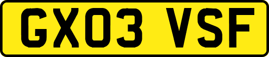 GX03VSF