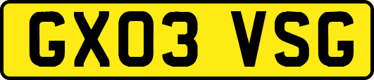 GX03VSG