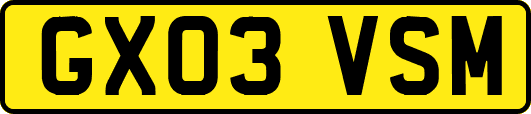 GX03VSM