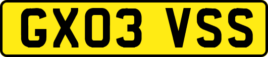 GX03VSS