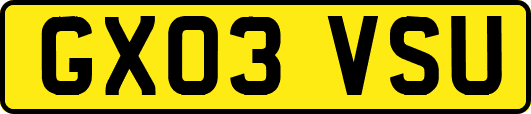 GX03VSU
