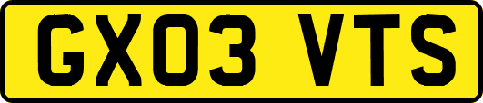 GX03VTS