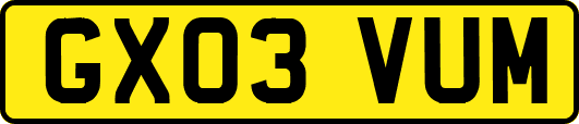 GX03VUM