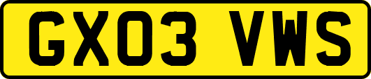 GX03VWS