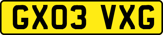 GX03VXG