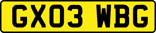 GX03WBG