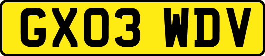GX03WDV