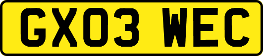 GX03WEC