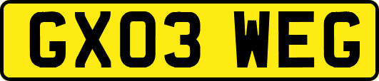 GX03WEG