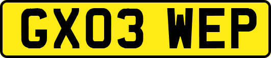 GX03WEP