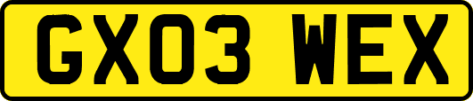 GX03WEX