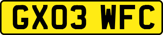 GX03WFC