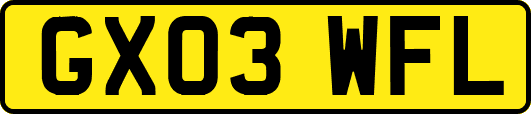 GX03WFL