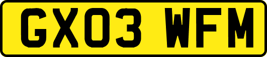 GX03WFM