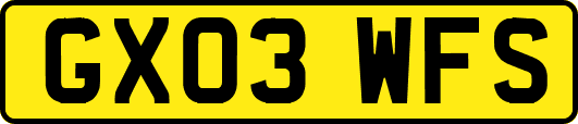 GX03WFS