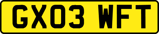 GX03WFT