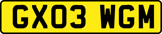 GX03WGM