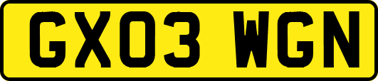 GX03WGN