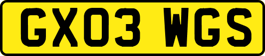 GX03WGS