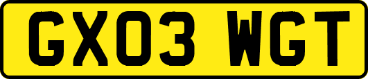 GX03WGT