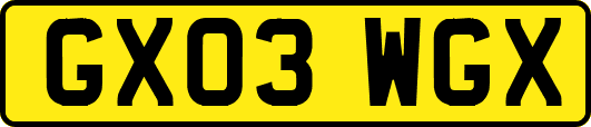 GX03WGX
