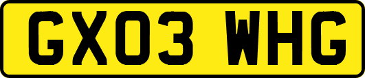 GX03WHG