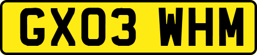 GX03WHM
