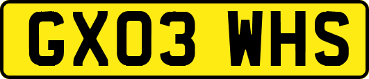 GX03WHS