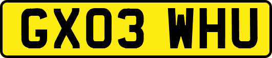 GX03WHU