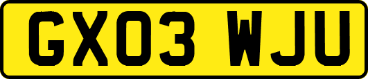 GX03WJU