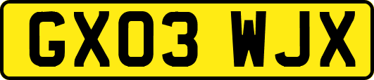 GX03WJX