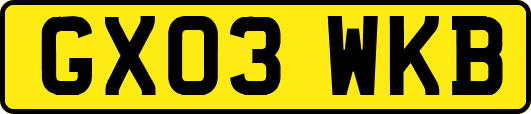 GX03WKB