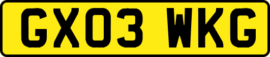 GX03WKG