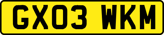 GX03WKM