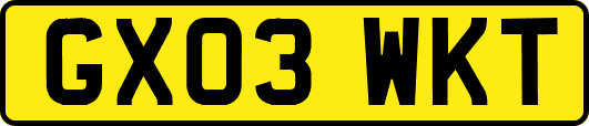 GX03WKT