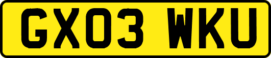 GX03WKU