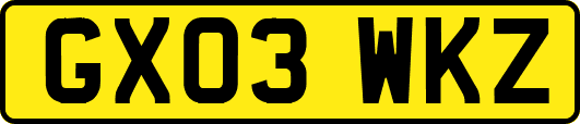 GX03WKZ