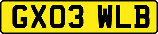 GX03WLB