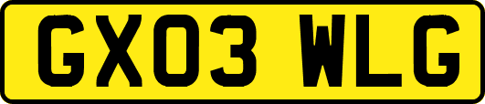 GX03WLG
