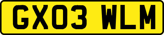 GX03WLM