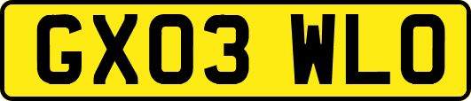 GX03WLO