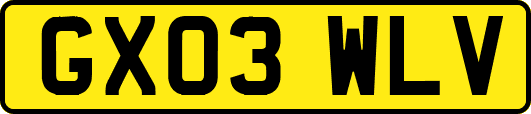 GX03WLV