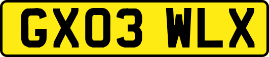GX03WLX